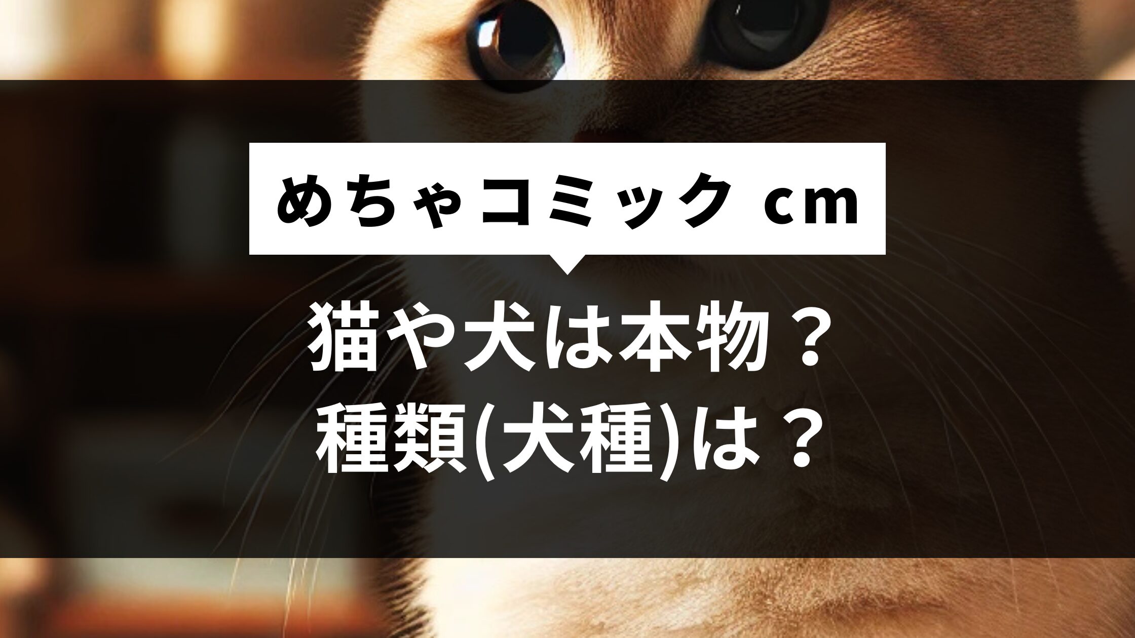 めちゃコミック cm 猫や犬は本物？種類(犬種)は？